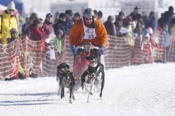 Lenk 2013